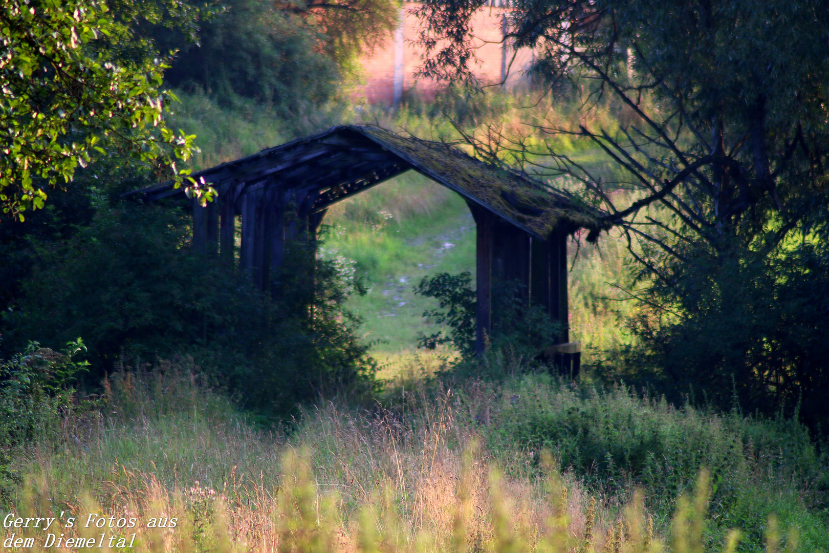 Die Alte Brücke