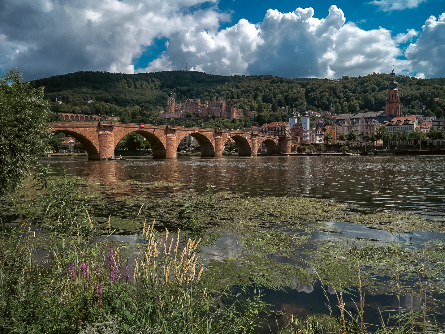 Die Alte Brücke 