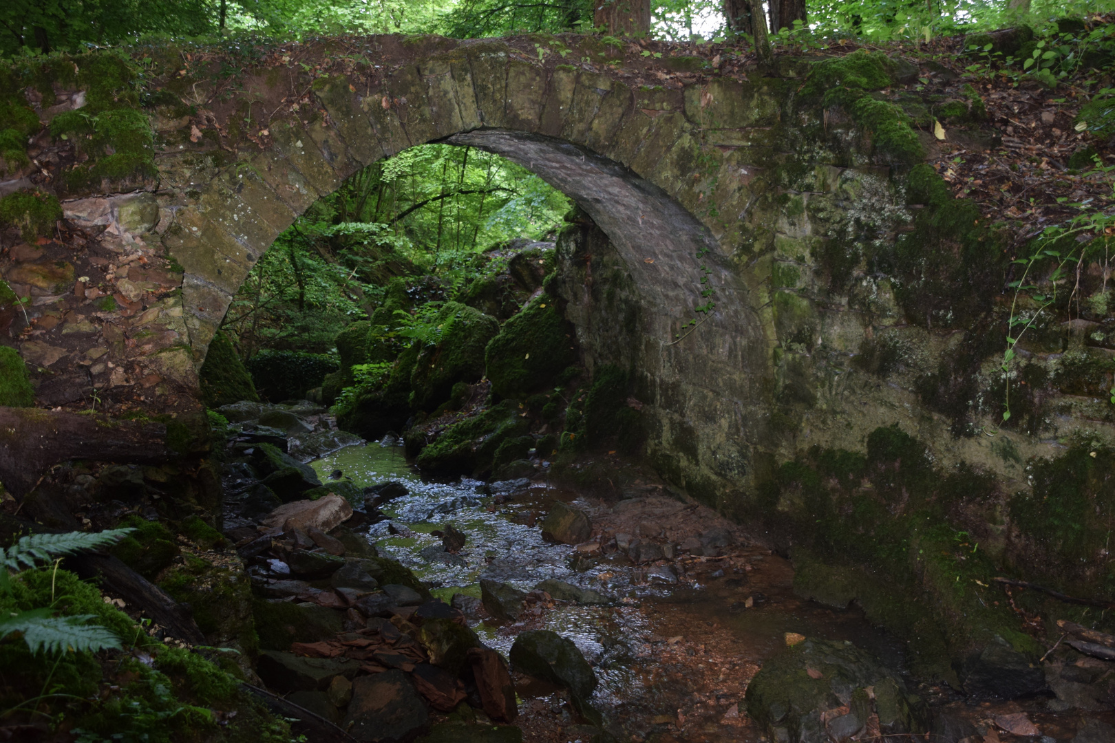 Die alte Brücke im Klosterwald .......