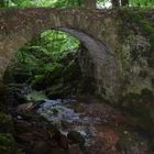 Die alte Brücke im Klosterwald .......