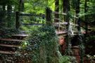 ~ Die alte Brücke im Wald ~ von Moorteufel 