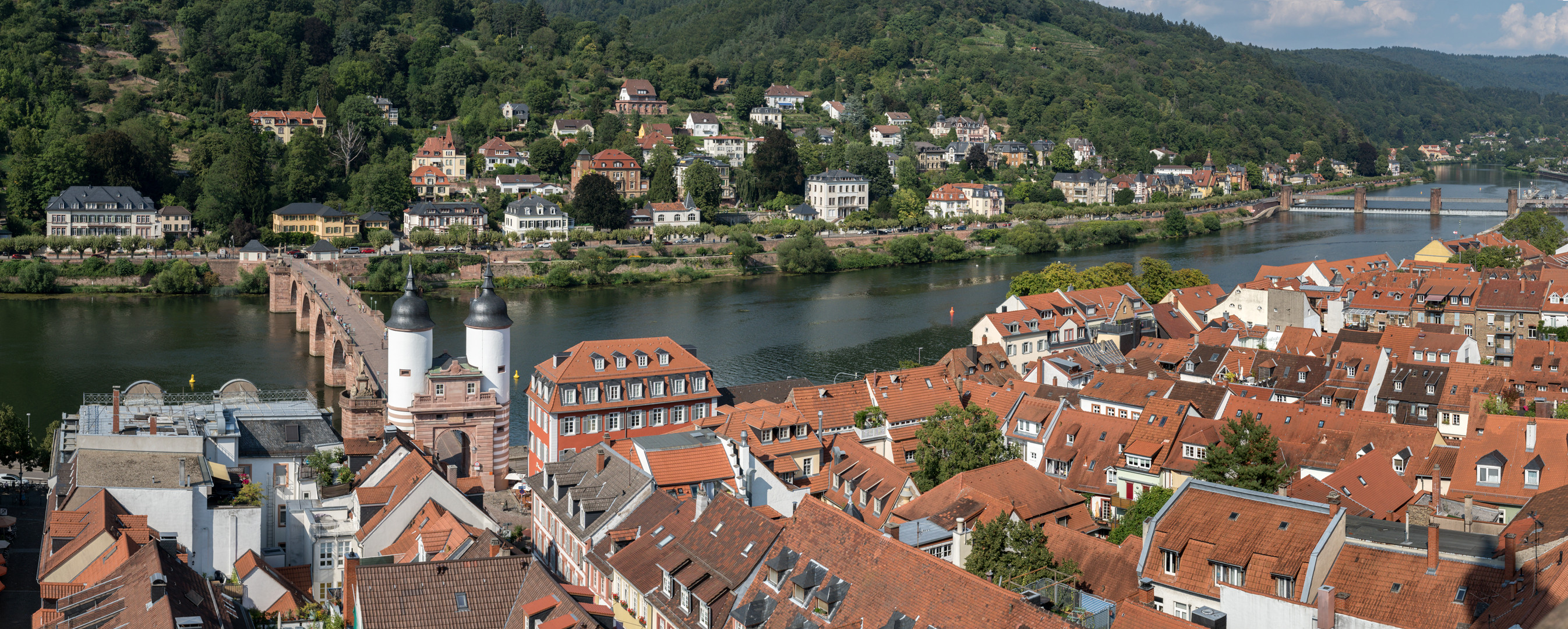 Die alte Brücke und der Neckar