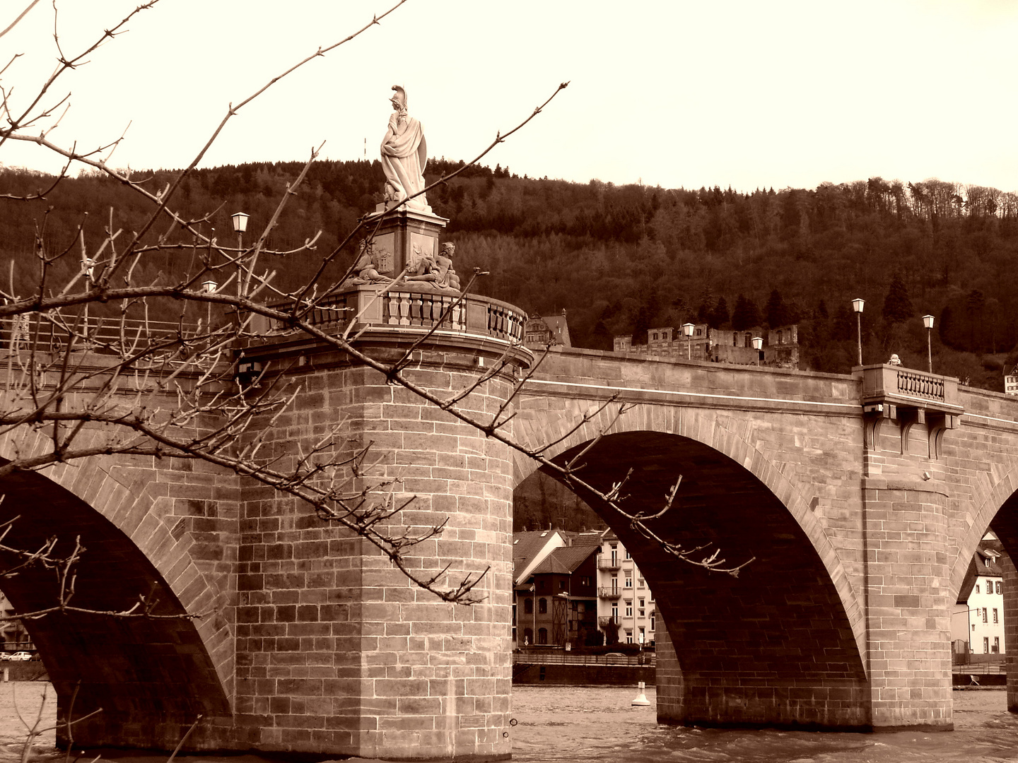 Die alte Brücke von Heidelberg