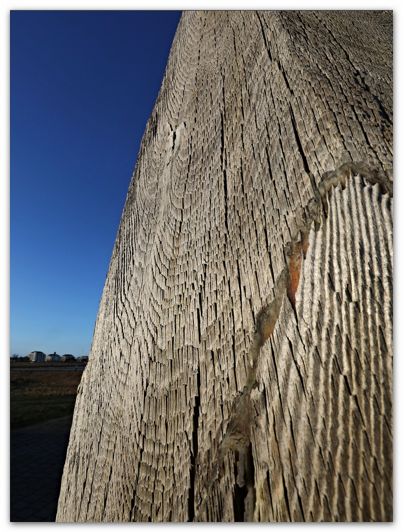 Die alte Dalbe Foto & Bild dokumentation, meer, hafen Bilder auf
