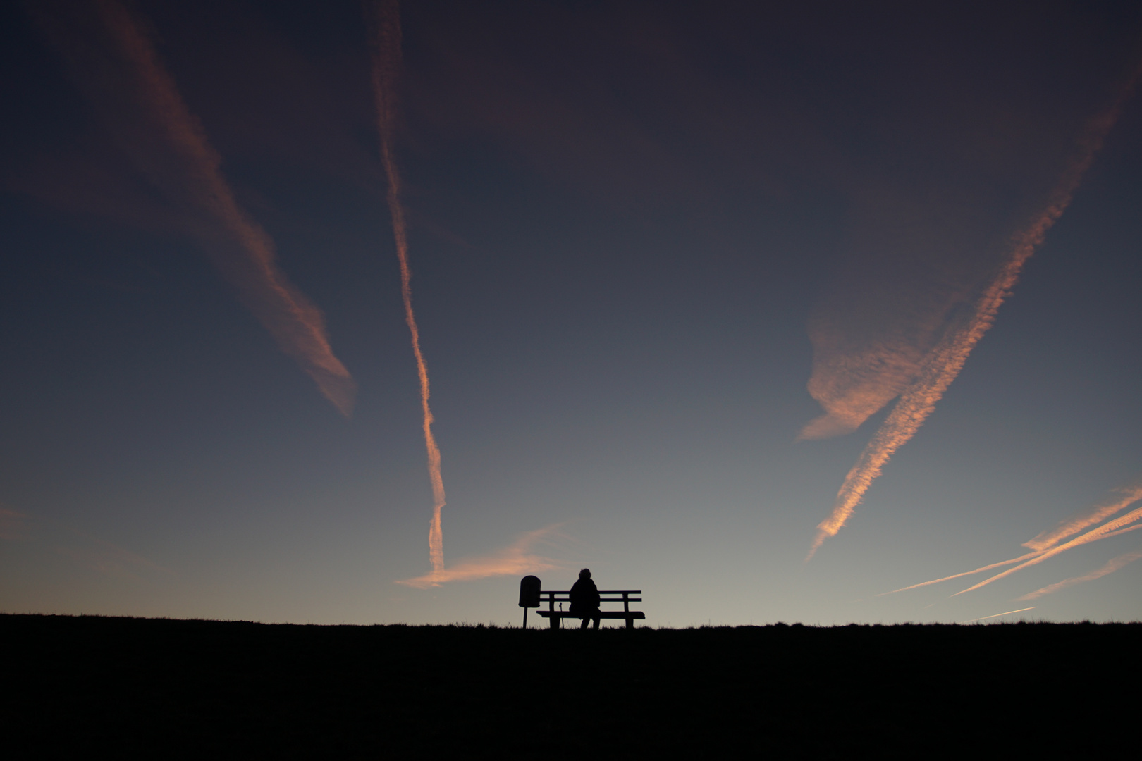 Die alte Dame und das Meer 