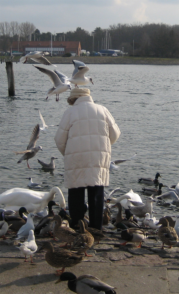 Die alte Dame und Ihre Vögel...