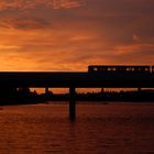 Die Alte Donau an einem lauen Juli Abend....