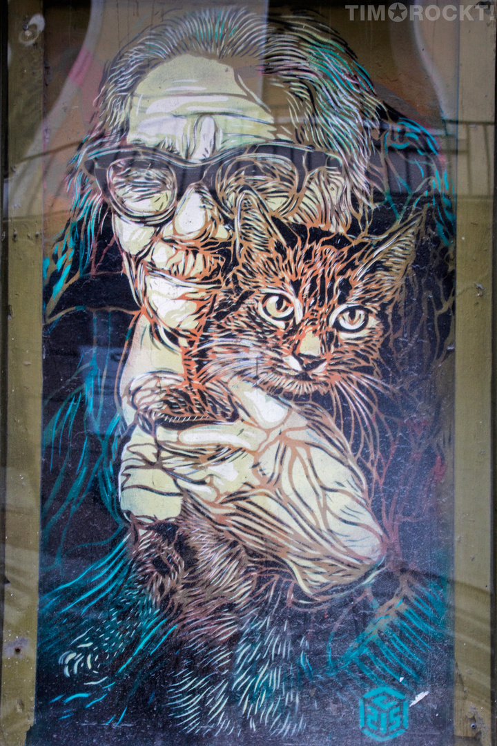 Die alte Frau mit der Katze