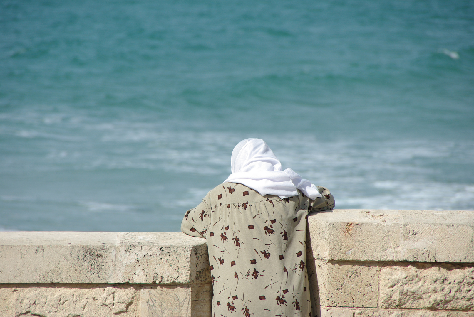 die alte frau und das meer