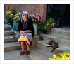 "Die alte Frau und die Katze" von Torsten Grove