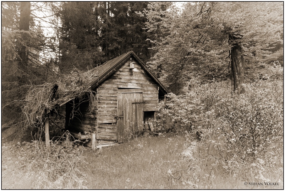 Die alte Futterhütte