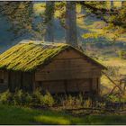 Die alte Futterhütte