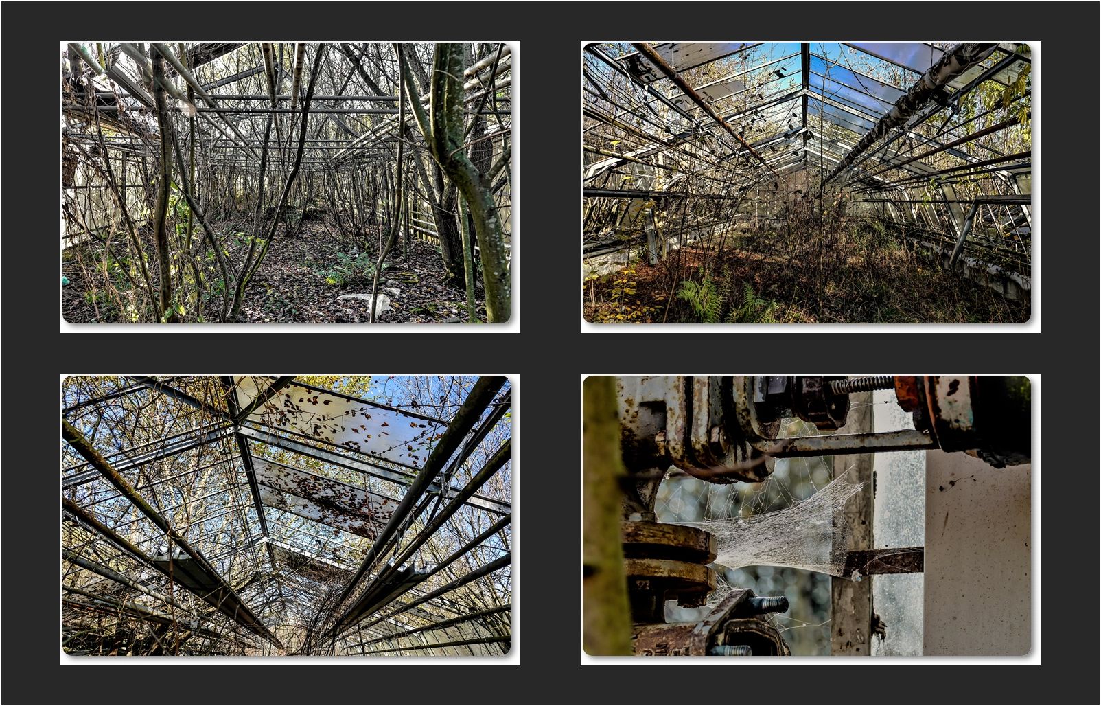 Die alte Gärtnerei Foto & Bild marode, verlassen, abandoned