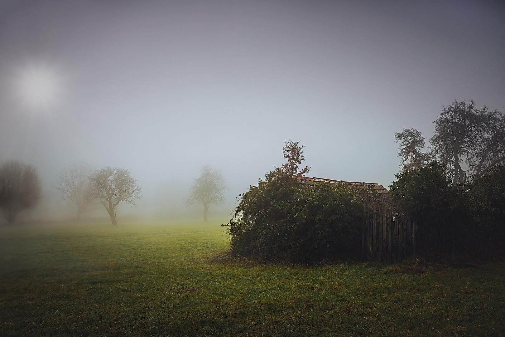 Die alte Gartenlaube