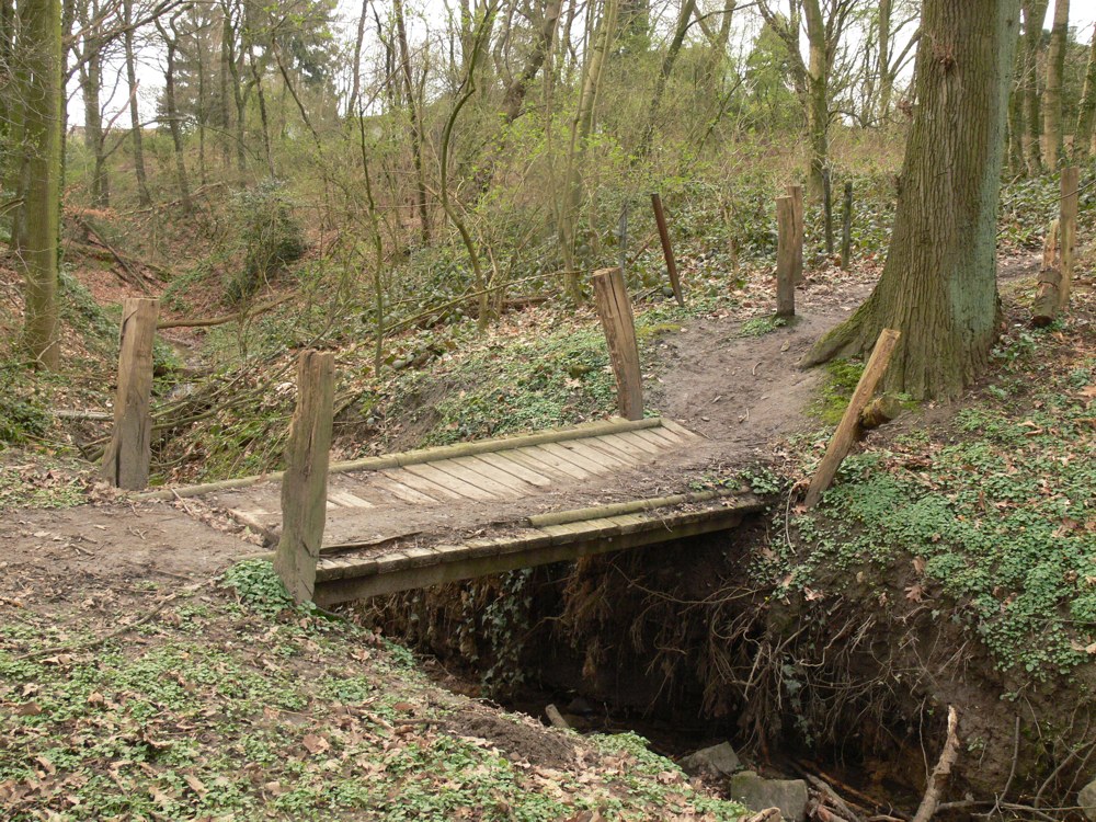 Die alte Holzbrücke