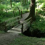 Die alte Holzbrücke III