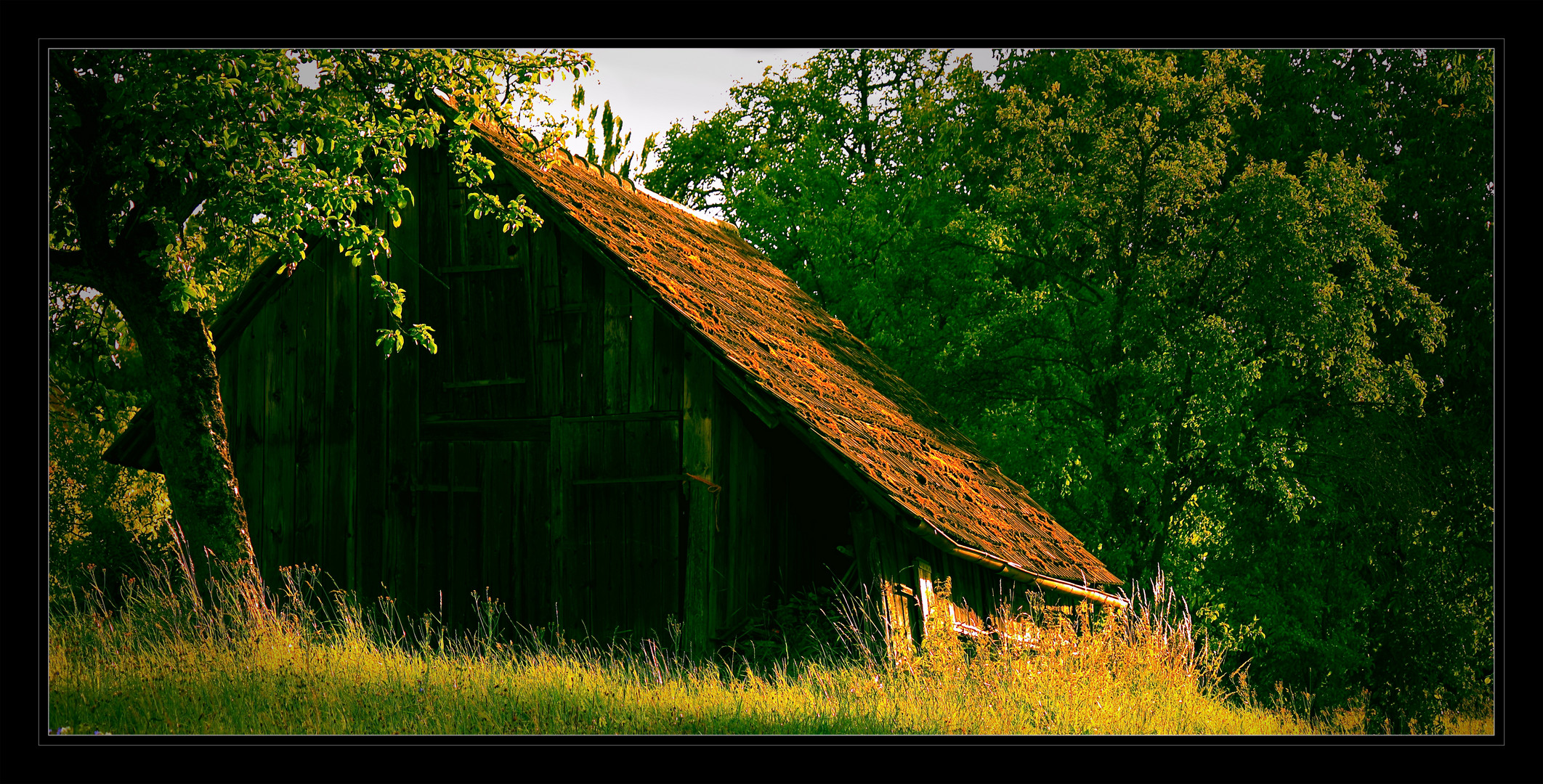 Die alte Hütte