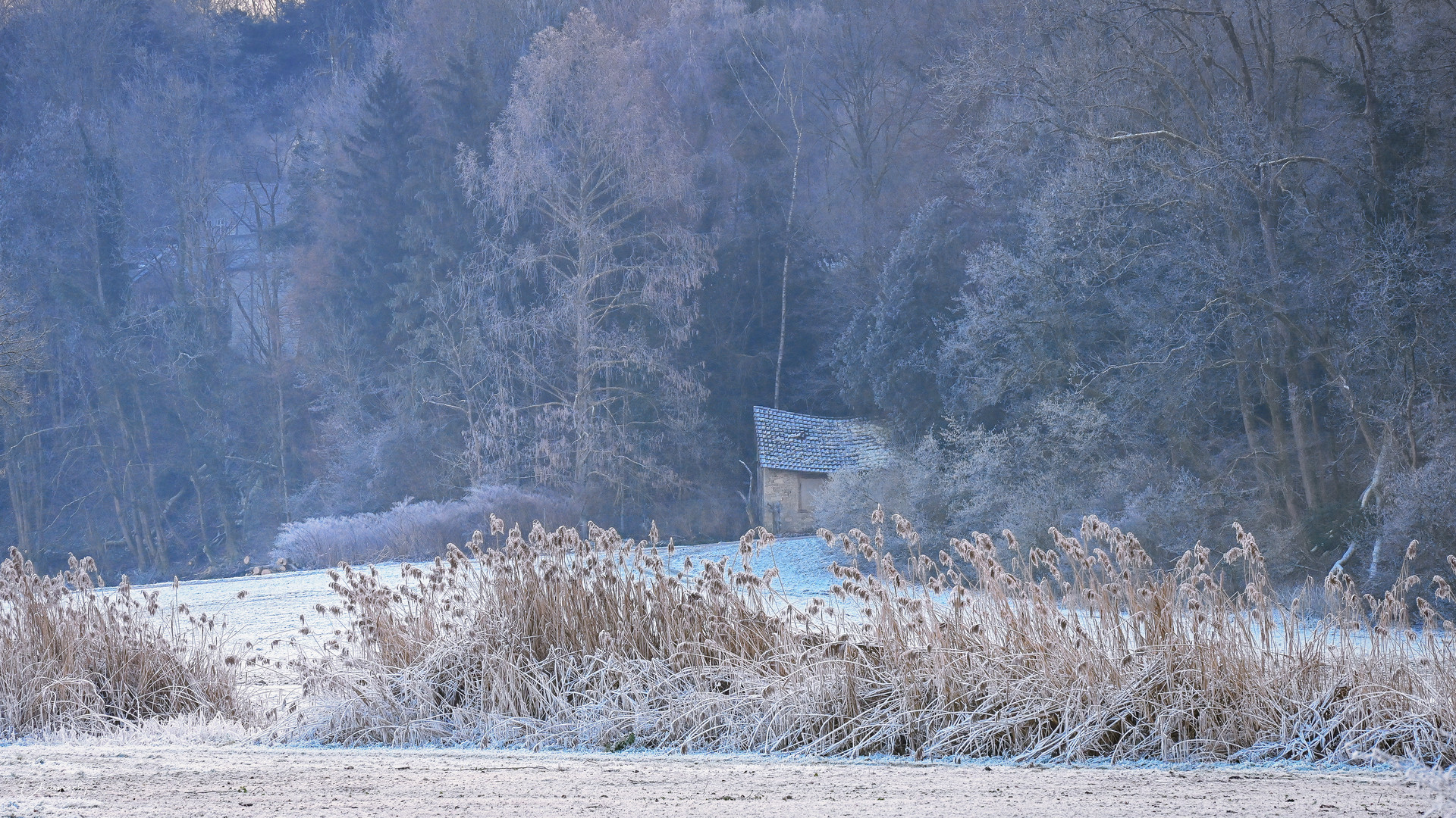 Die alte Hütte