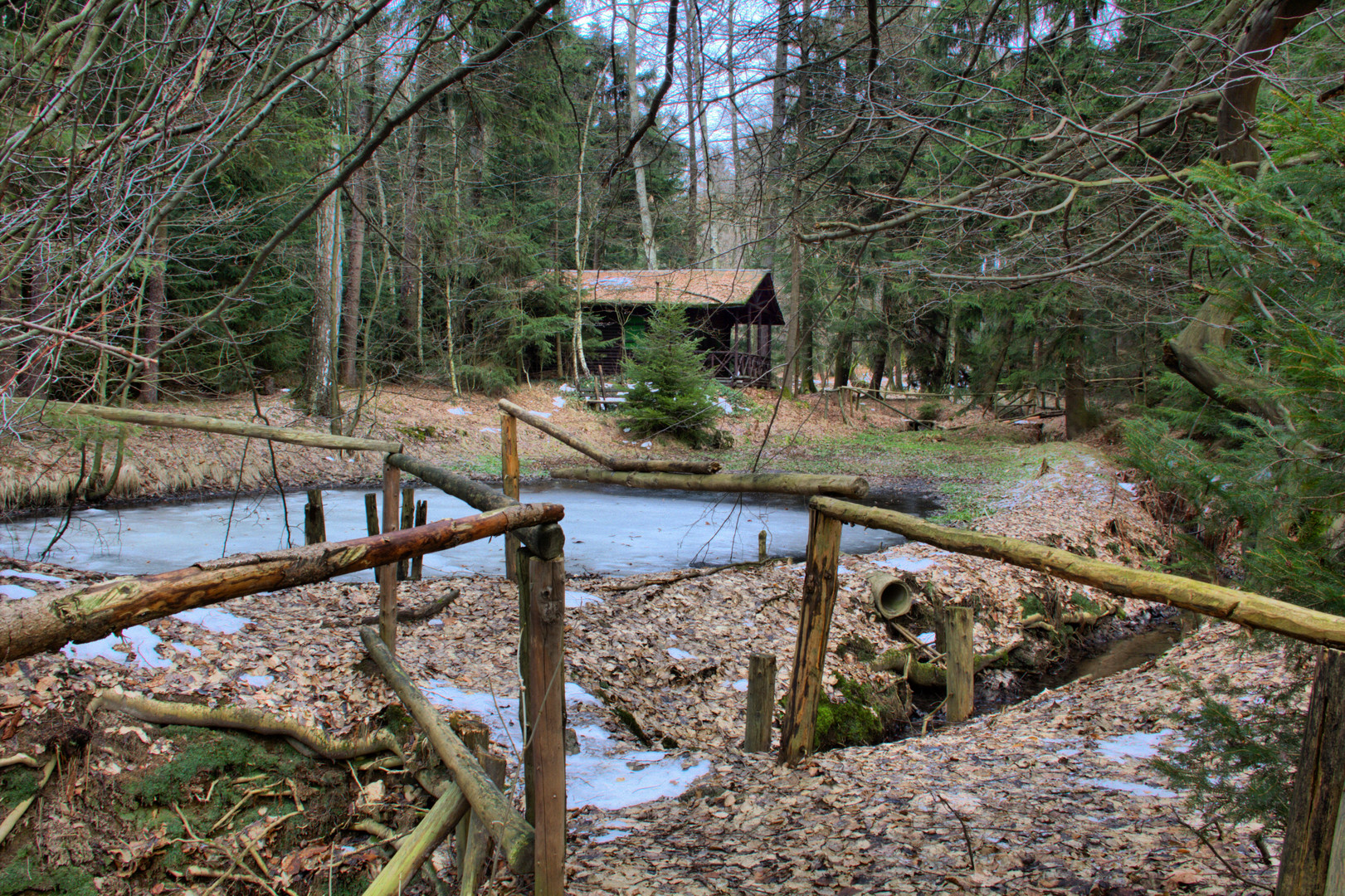 Die alte Hütte im Wald