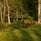 Die alte Hütte in unserem Wald