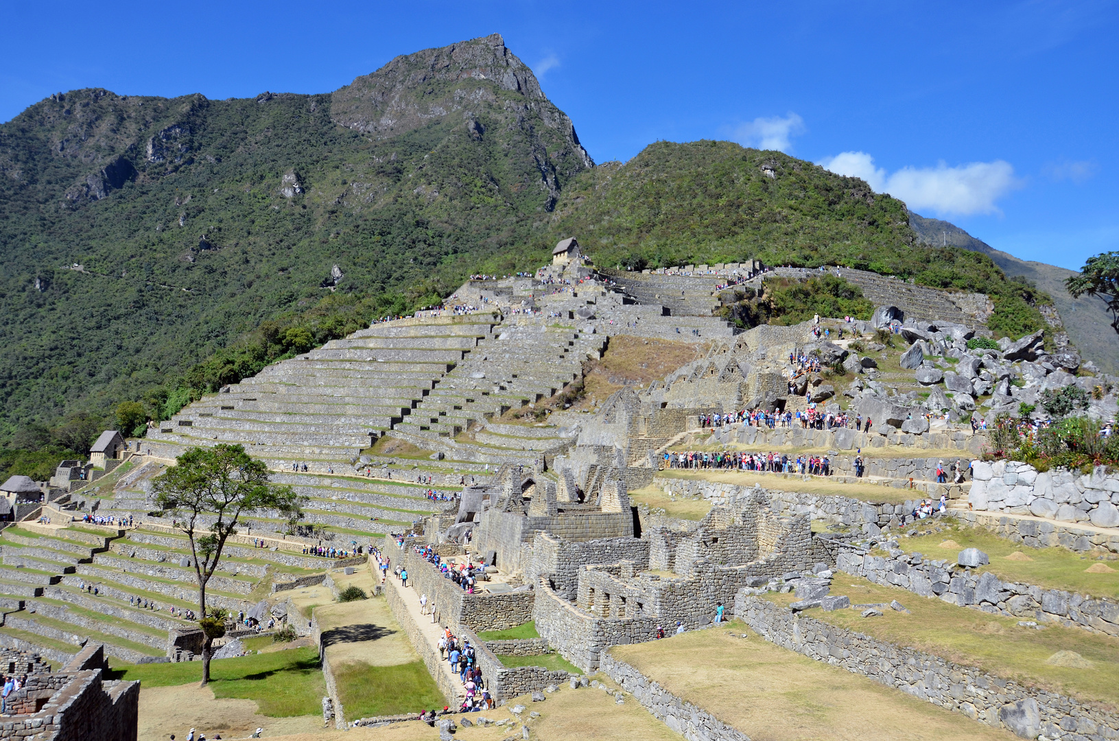 Die alte Inka-Stadt Machu Picchu in Peru