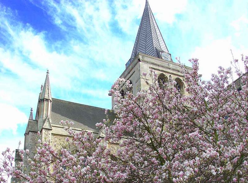 Die alte Kirche und der Baum