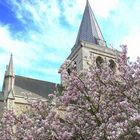 Die alte Kirche und der Baum