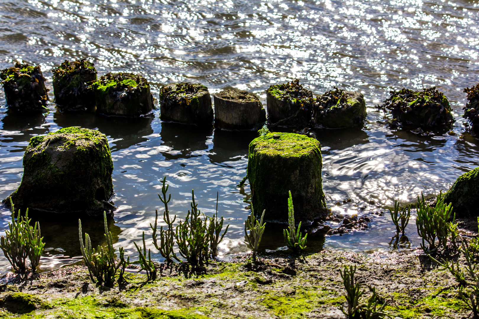 Die alte Lahnung am Meer