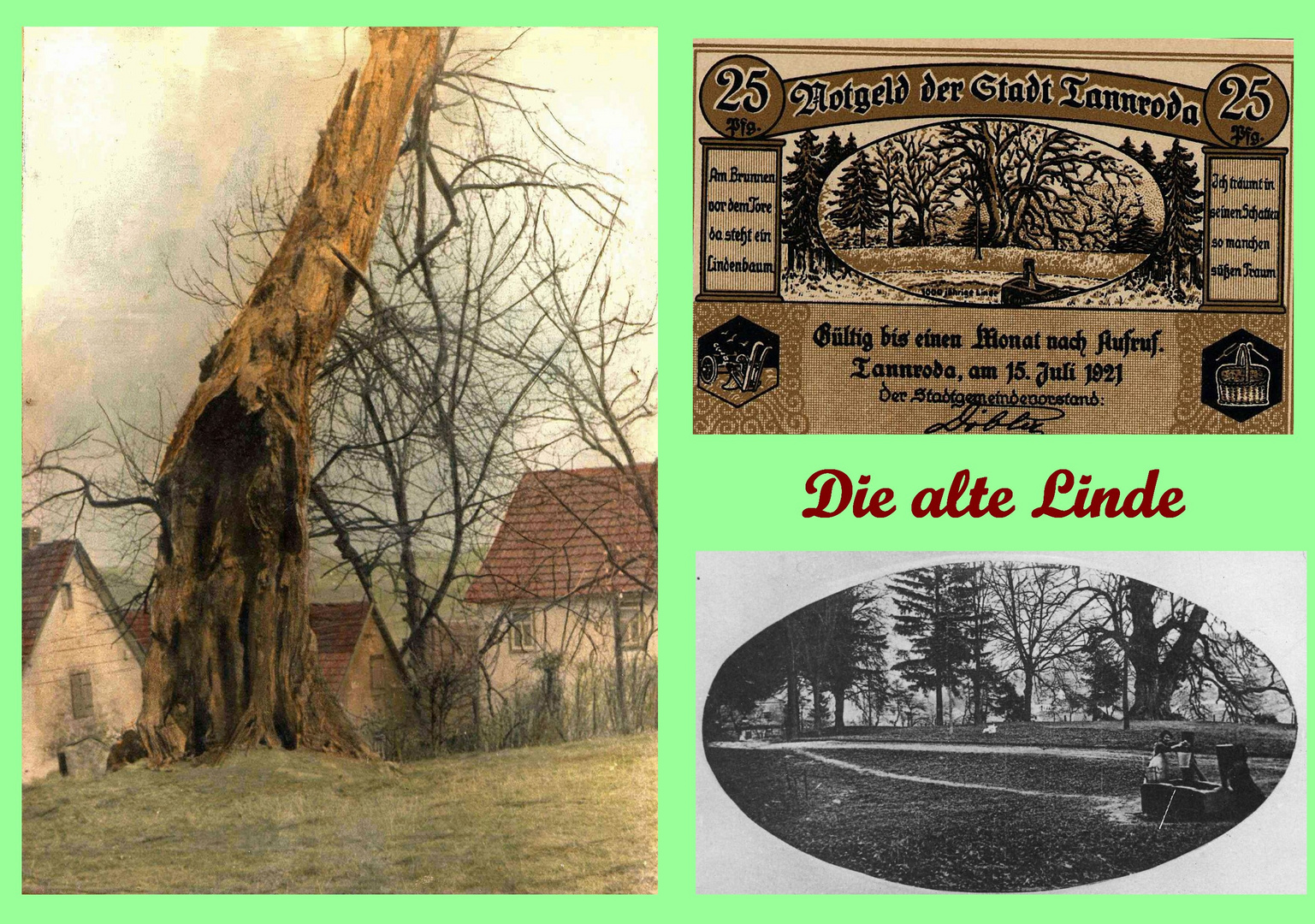 Die alte Linde