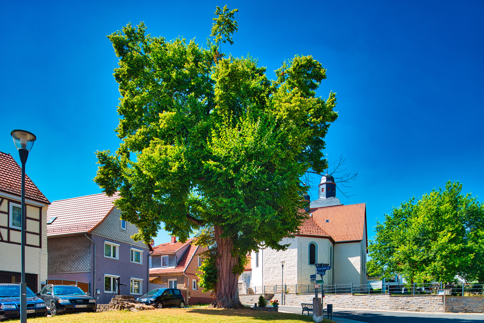 Die alte Linde in Kefferhausen im Sommer 2020