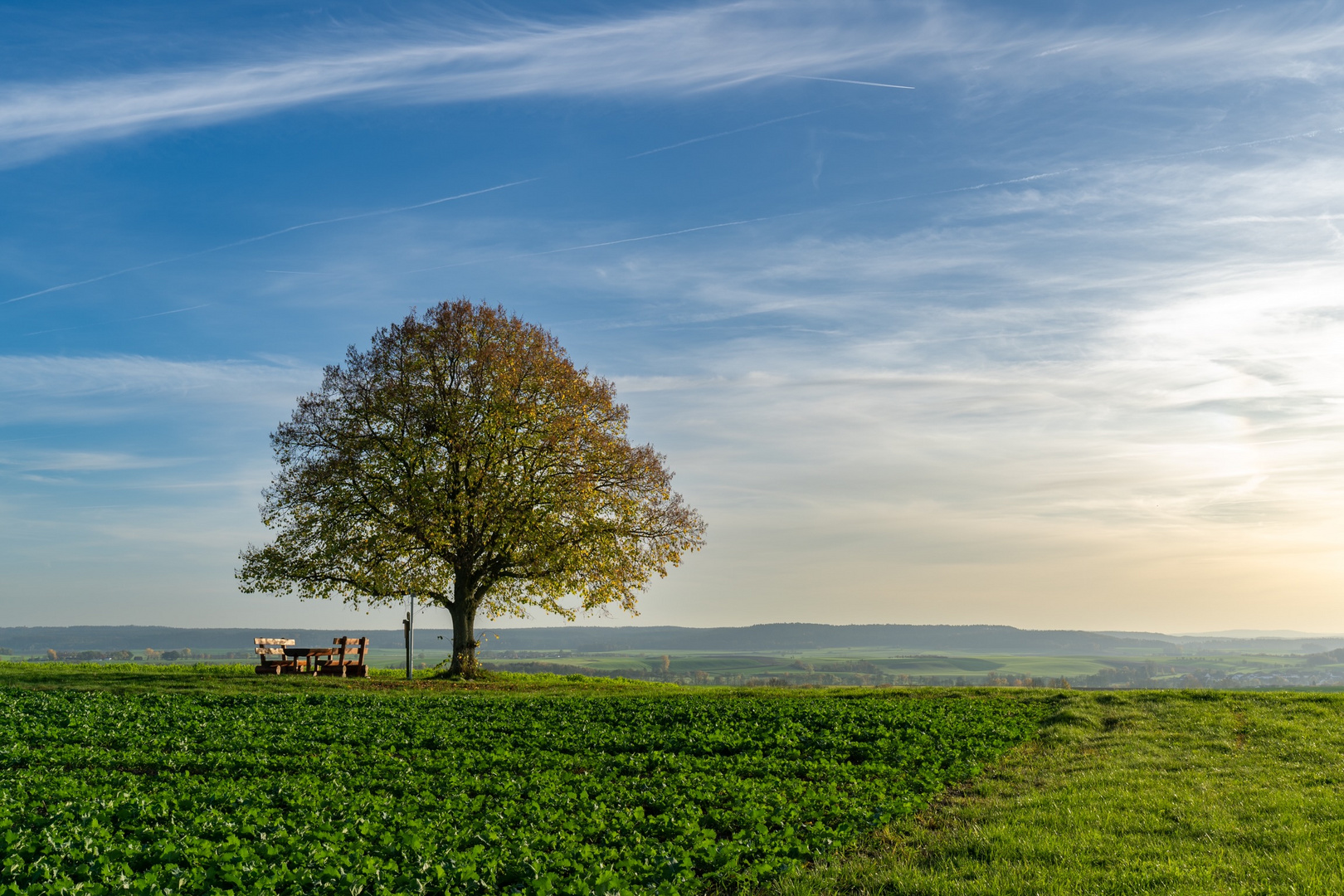 Die alte Linde - mit YouTube Video