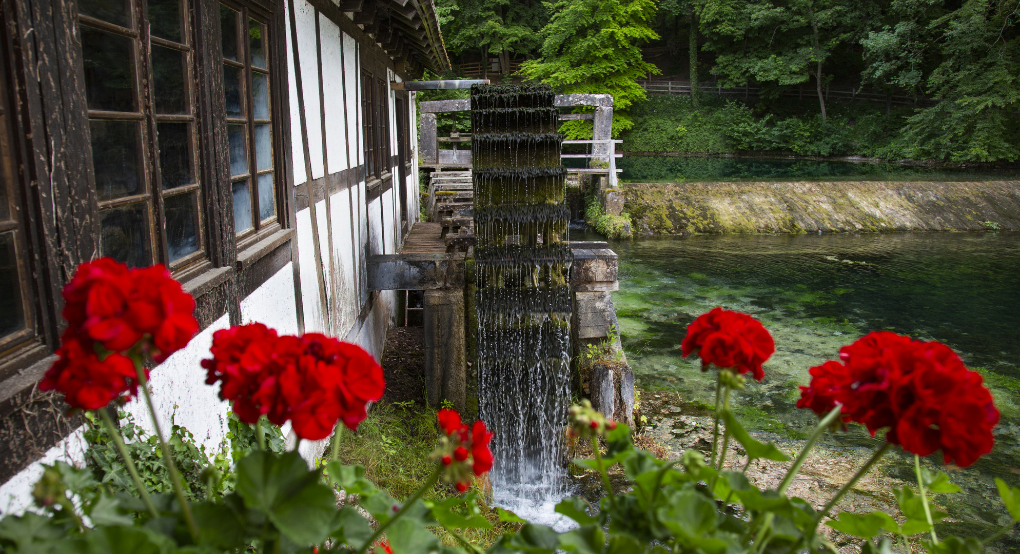 Die alte Mühle am Blautopf