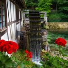 Die alte Mühle am Blautopf