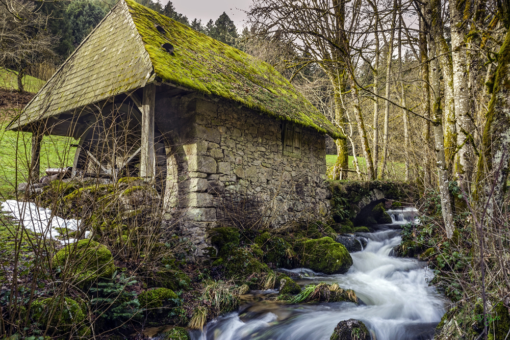 die alte mühle