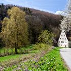 Die alte Mühle im Frühling