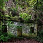 Die alte Pumpstation im Lorbeerwald