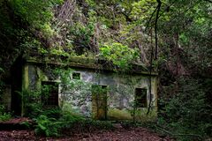 Die alte Pumpstation im Lorbeerwald