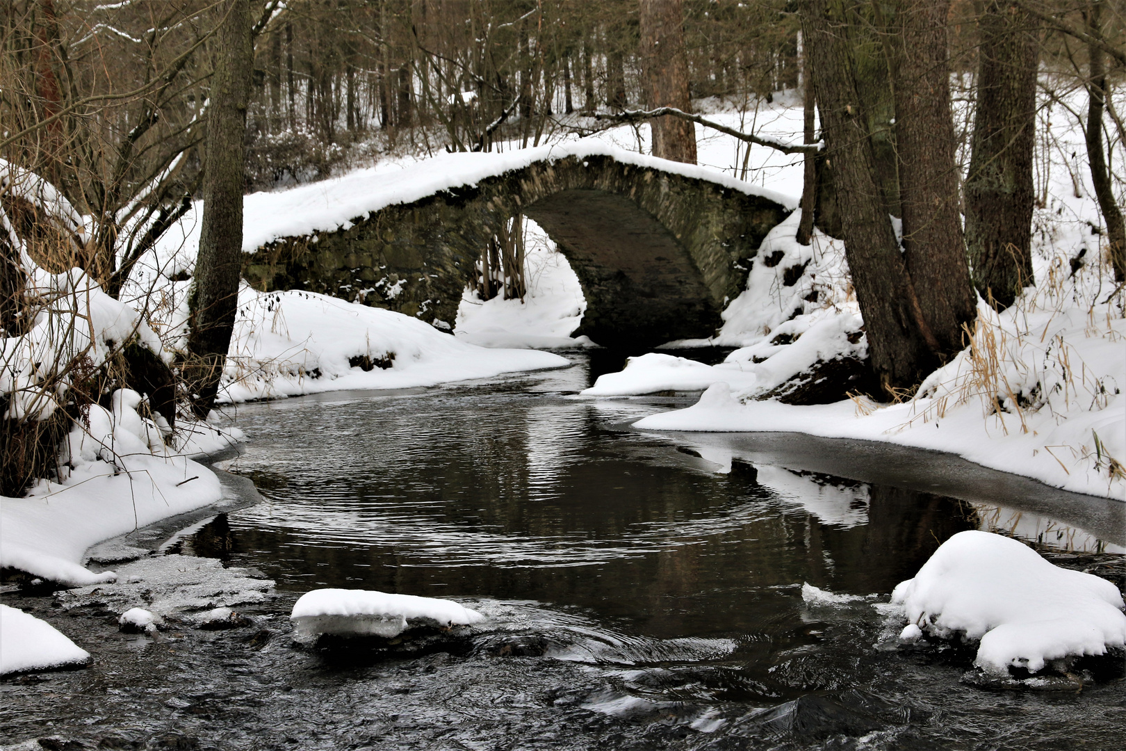 die alte Schafbrücke