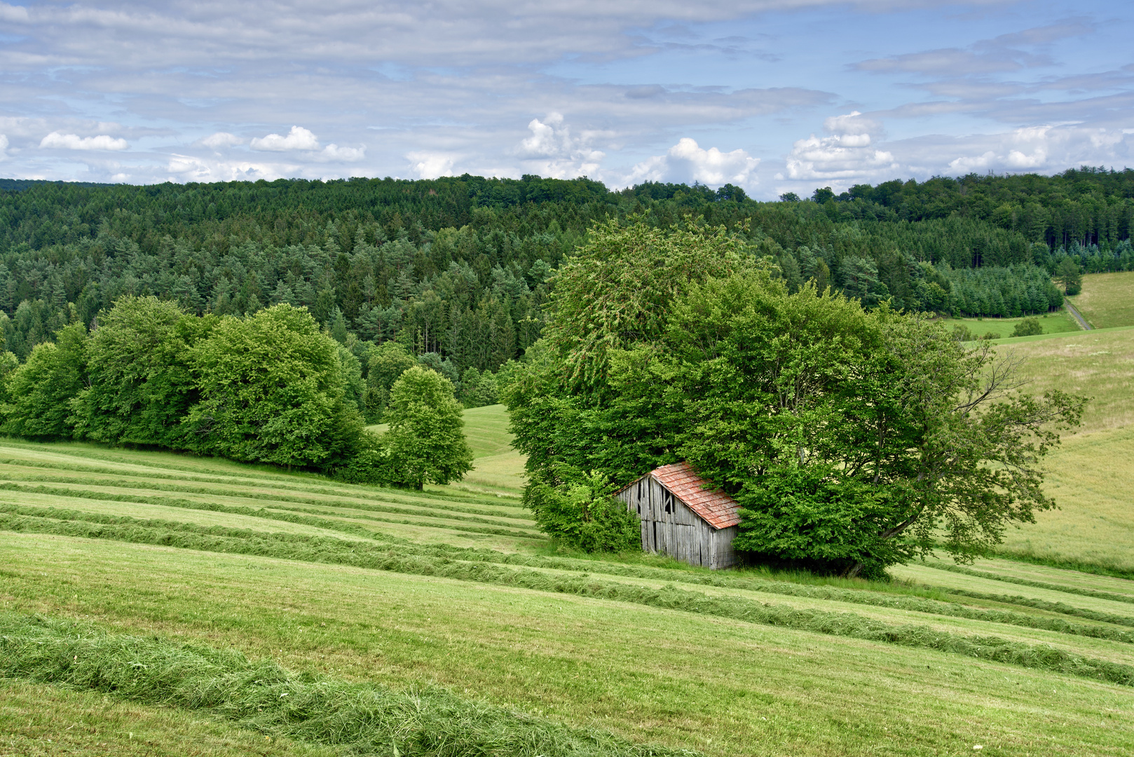 Die alte Scheune