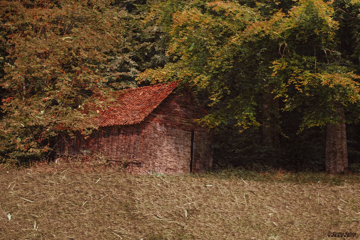 Die alte Scheune im Wald