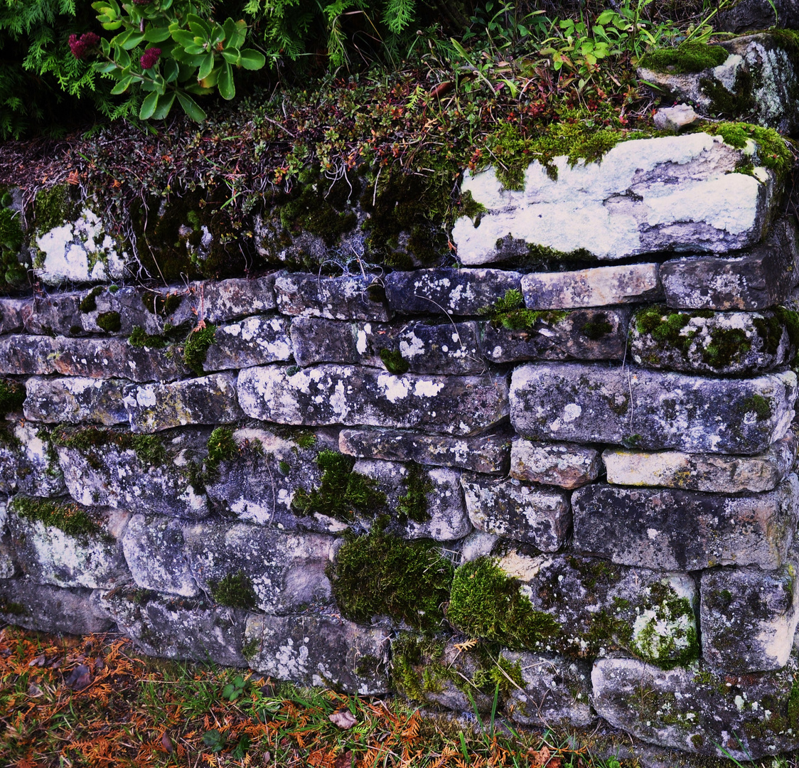 die alte Steinmauer