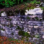 die alte Steinmauer