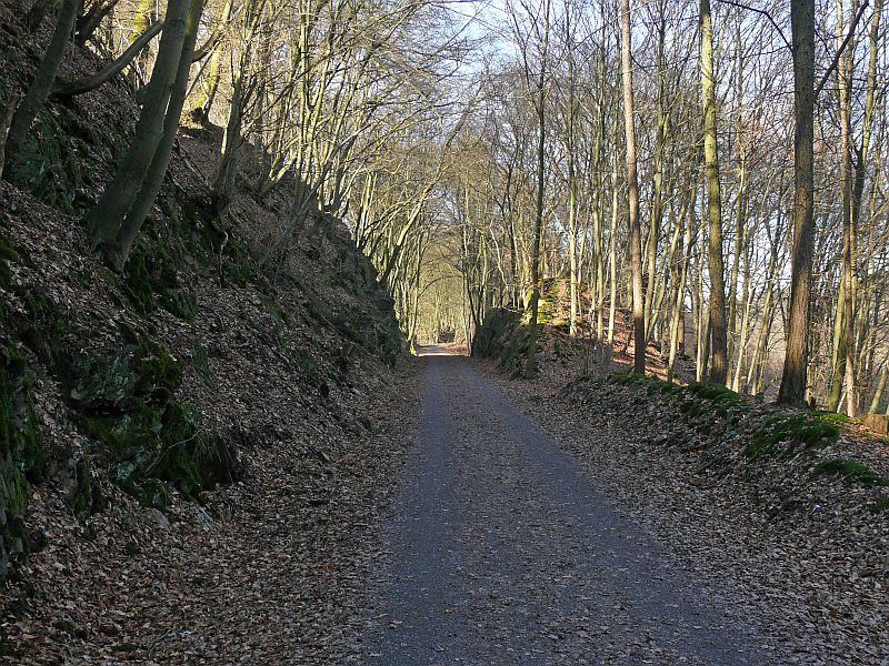 die alte Trasse der "Barmer Bergbahn"