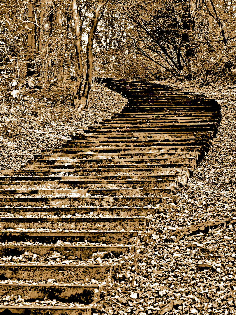 Die Alte Treppe zum Wanderweg - Monochrom 