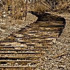 Die Alte Treppe zum Wanderweg - Monochrom 