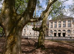 Die Alte Universität in Köln