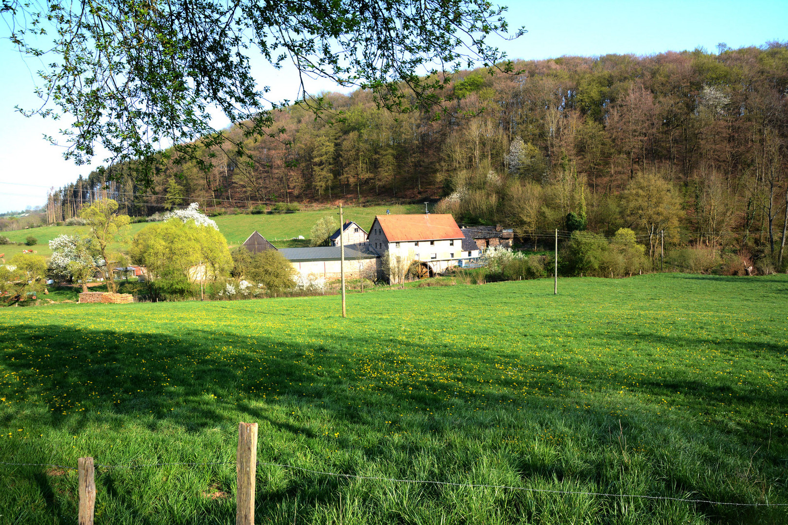 Die alte Wassermühle an der Erft, noch einmal