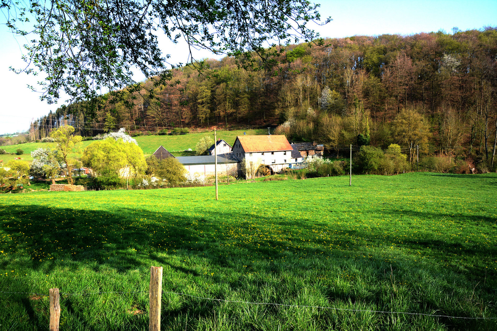 Die alte Wassermühle im Tal der Erft