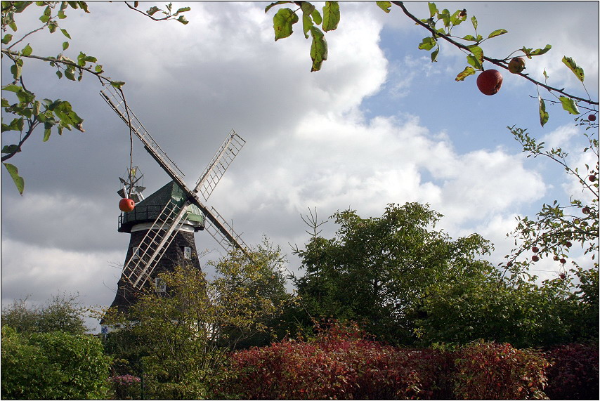 Die alte Windmühle ....