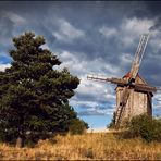 Die alte Windmühle